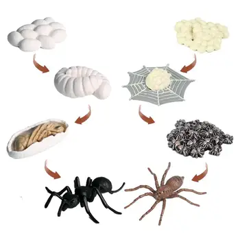 Мини-фигурки Пауков, 8шт. моделей продолжительности жизни мини-пауков, набор развивающих игрушек-пауков, Многофункциональных для детей ясельного возраста и девочек